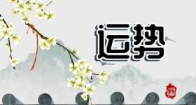 车牌号码免费测试打分 816的车牌号吉祥吗