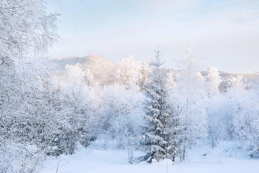 河南出现雷打雪现象！雷打雪民间有什么说法？