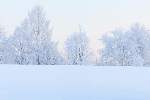 河南出现雷打雪现象！雷打雪民间有什么说法？