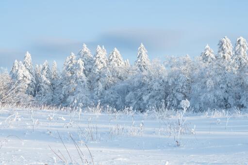 河南出现雷打雪现象！雷打雪民间有什么说法？