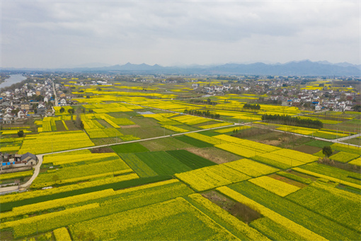 在工程建设征地区域内可以新增建设项目和迁入人口吗？